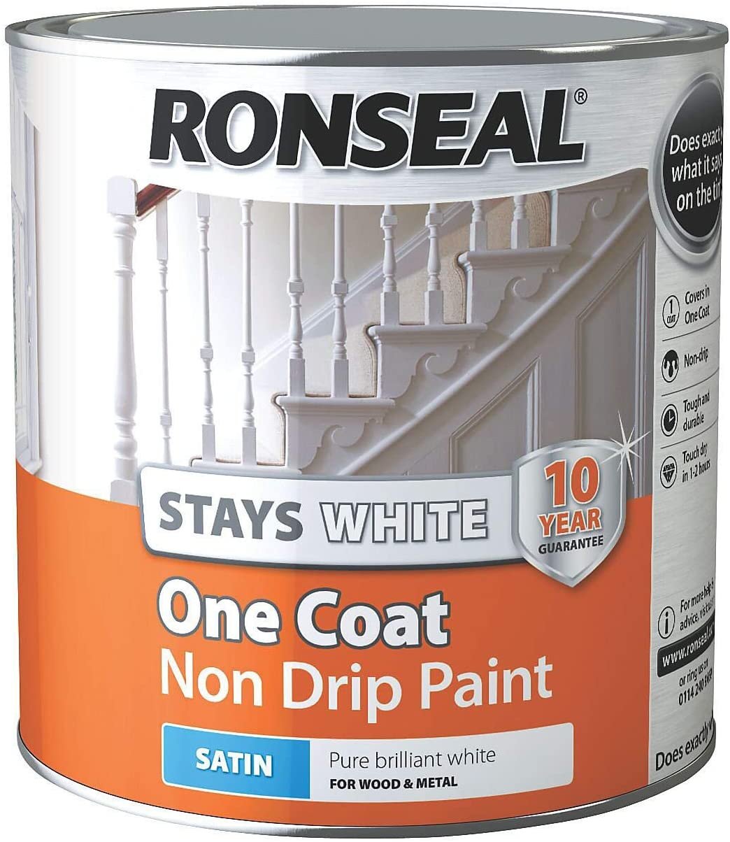 Best one coat paint 2023 for different surfaces PaintItemS