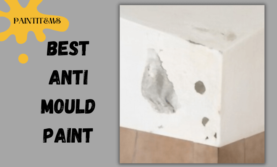 Best Anti Mould Paint PaintItemS